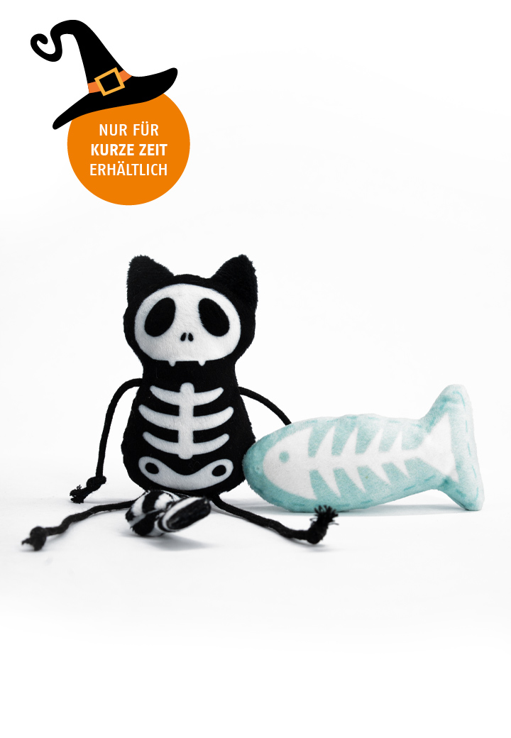 Skeleton cat Sam