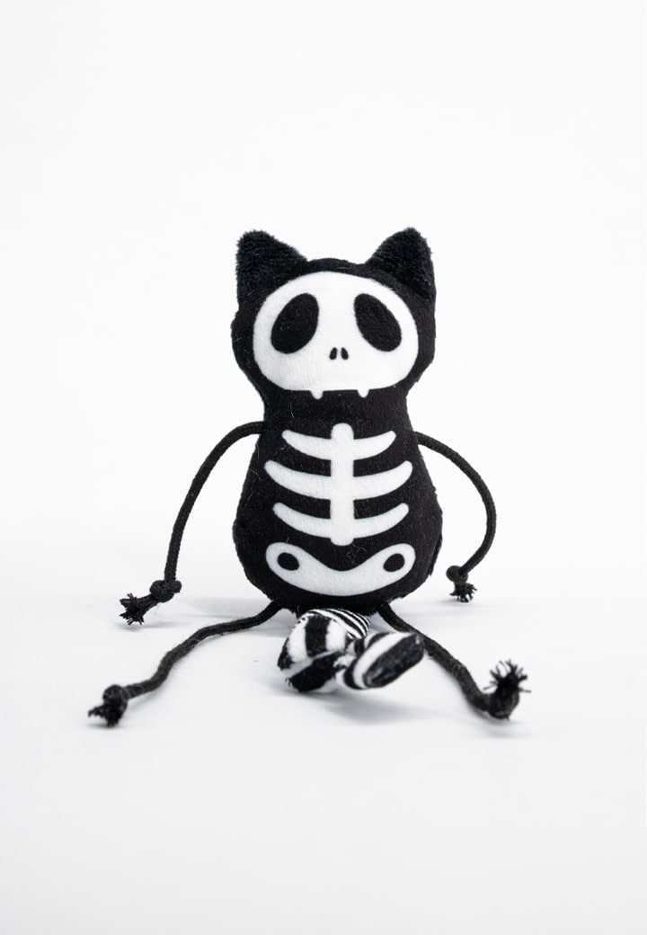 Skeleton cat Sam Picture 2