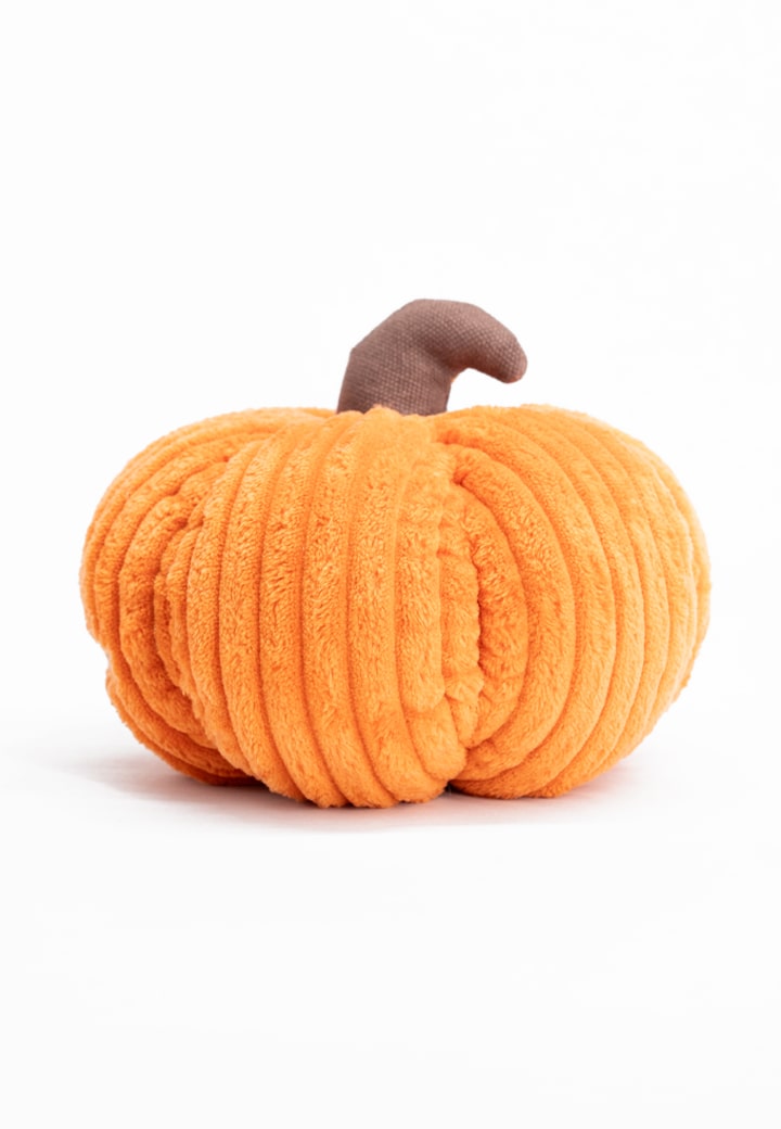 Pumpkin, big Picture 2