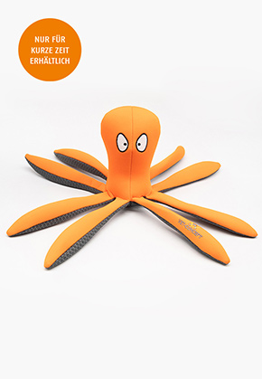 Octopus Otto